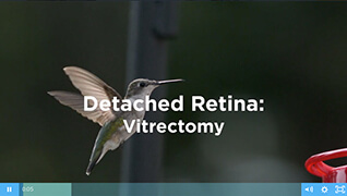 Detached Retina Video